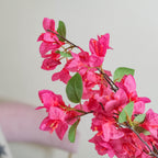 Bougainvillea Flower Nestasia