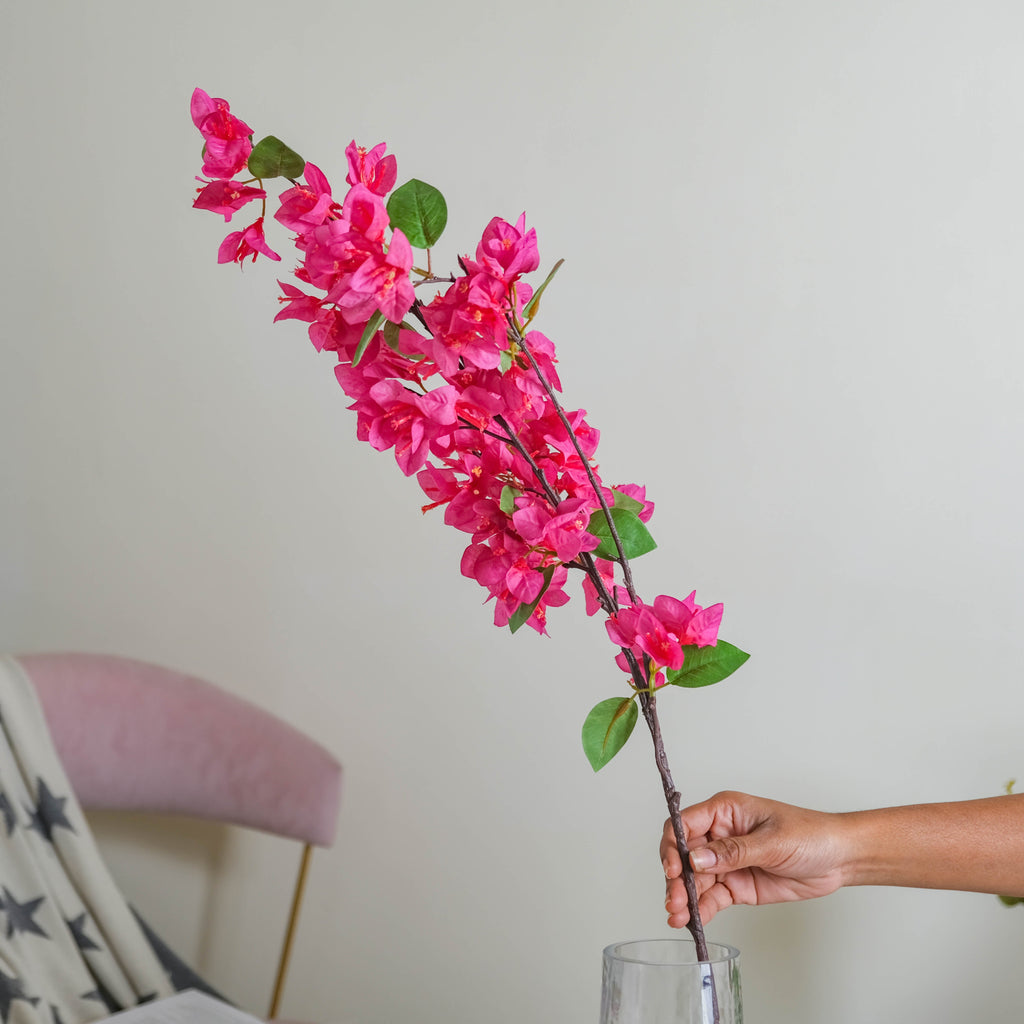 Bougainvillea Flower Nestasia