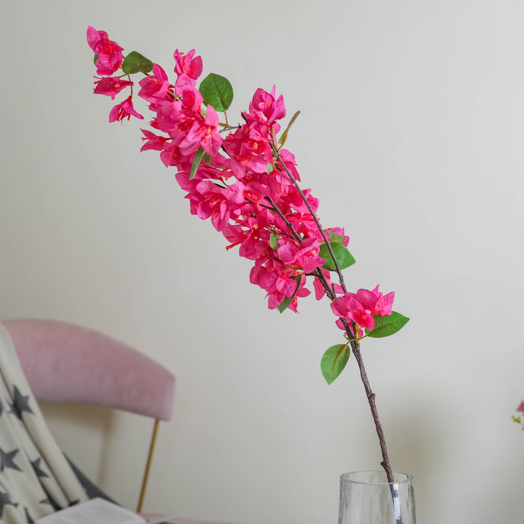 Bougainvillea Flower Nestasia