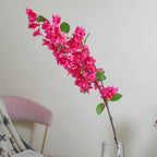 Bougainvillea Flower Nestasia