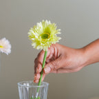 Imitation Chrysanthemum Flower Nestasia