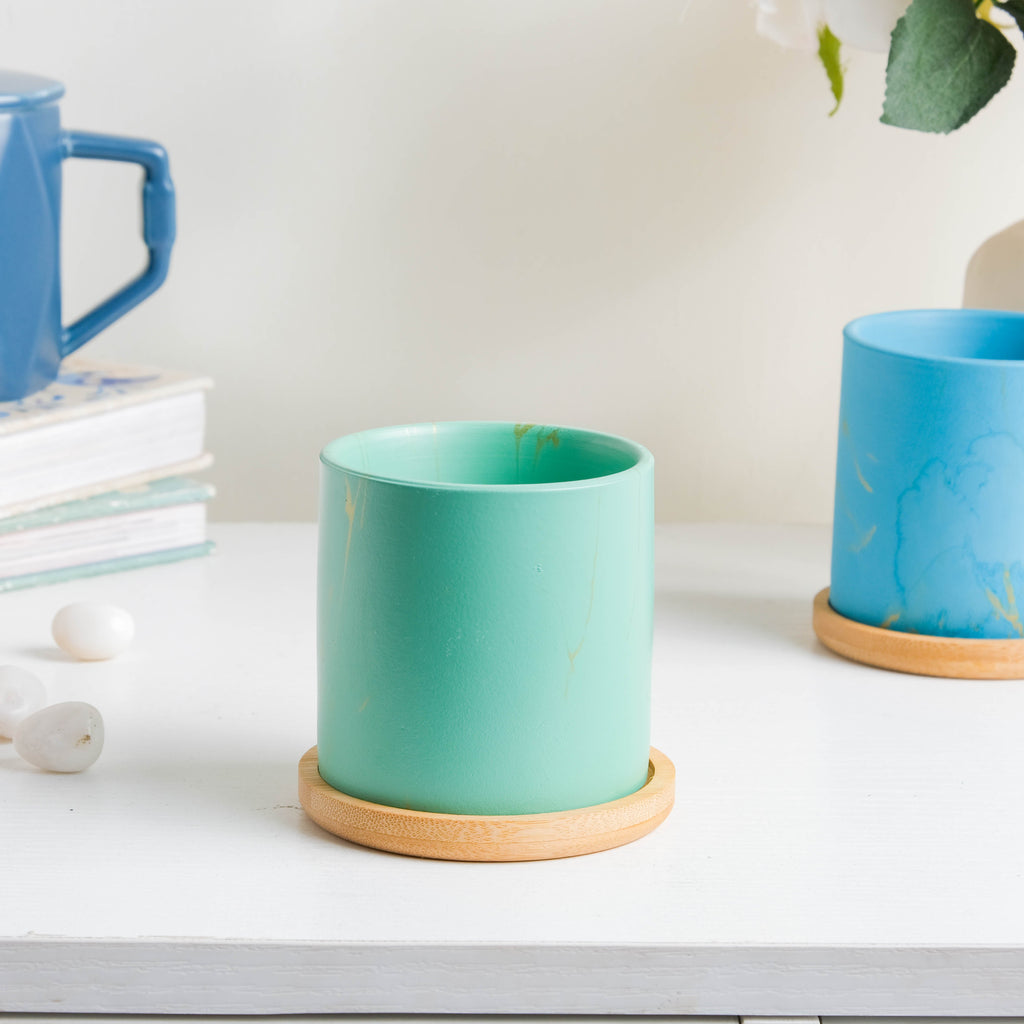 Leafy Green Planter With Coaster Nestasia