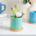 Leafy Green Planter With Coaster Nestasia