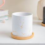 Serene White Planter With Coaster Nestasia