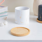 Serene White Planter With Coaster Nestasia