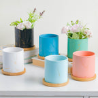 Leafy Green Planter With Coaster Nestasia