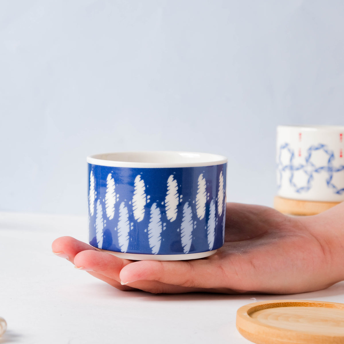 Leafy Landscape Ceramic Planter Set With Coaster Set Of 8 Nestasia