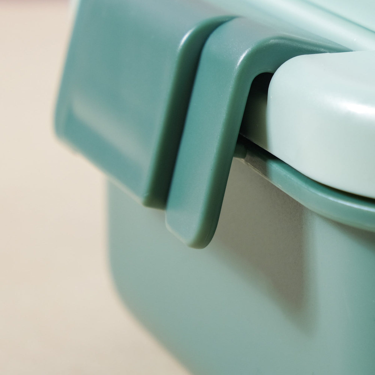 Lunch Box With 2 Sections Green 800ml Nestasia