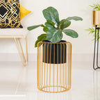 Chic Floor Planter With Gold Stand Nestasia