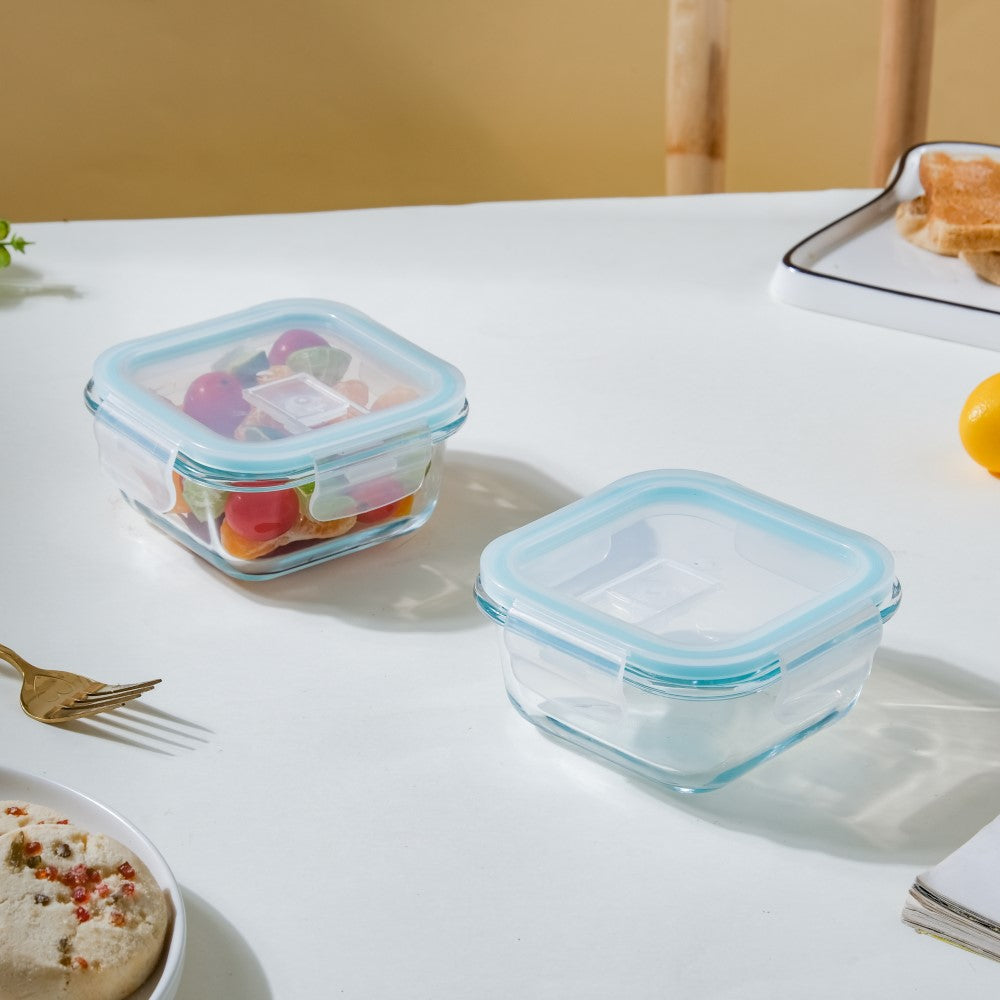 Glass Lunch Box Small Set Of 2 250ml Nestasia