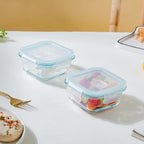 Glass Lunch Box Small Set Of 2 250ml Nestasia