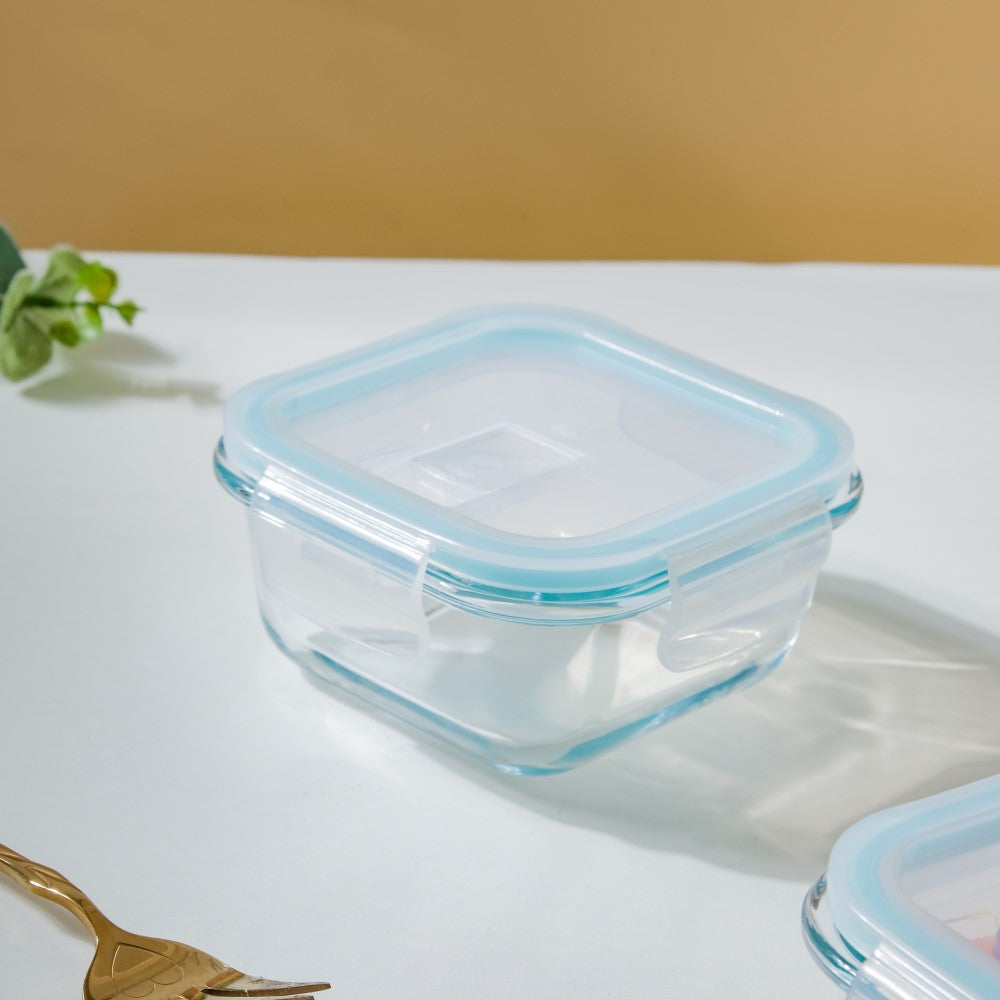 Glass Lunch Box Small Set Of 2 250ml Nestasia