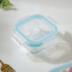 Glass Lunch Box Small Set Of 2 250ml Nestasia