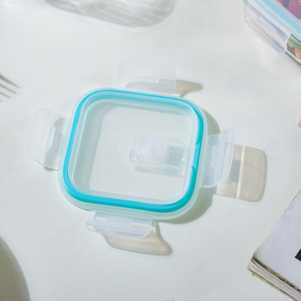 Glass Lunch Box Small Set Of 2 250ml Nestasia
