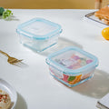 Glass Lunch Box Small Set Of 2 250ml Nestasia
