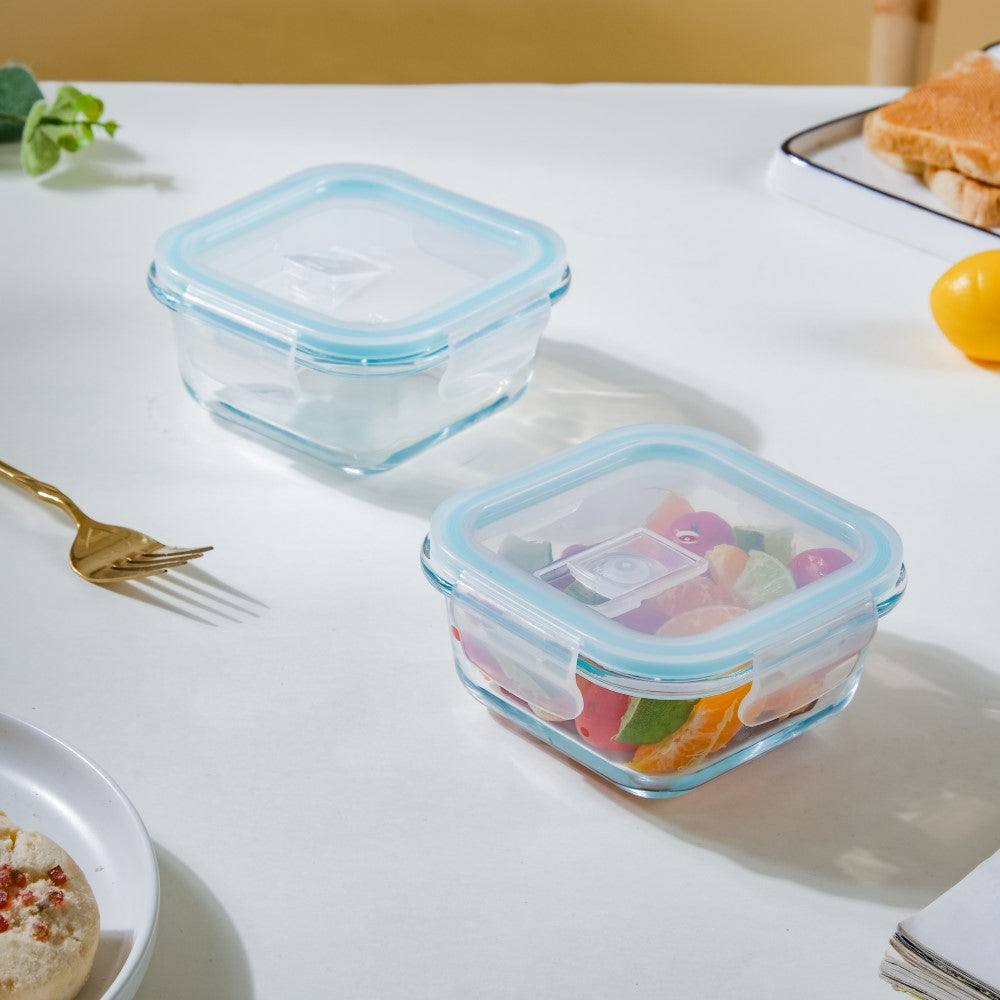 Glass Lunch Box Small Set Of 2 250ml Nestasia
