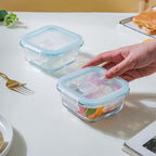 Glass Lunch Box Small Set Of 2 250ml Nestasia
