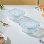 Glass Lunch Box Small Set Of 2 250ml Nestasia