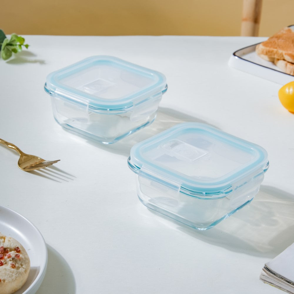 Glass Lunch Box Small Set Of 2 250ml Nestasia