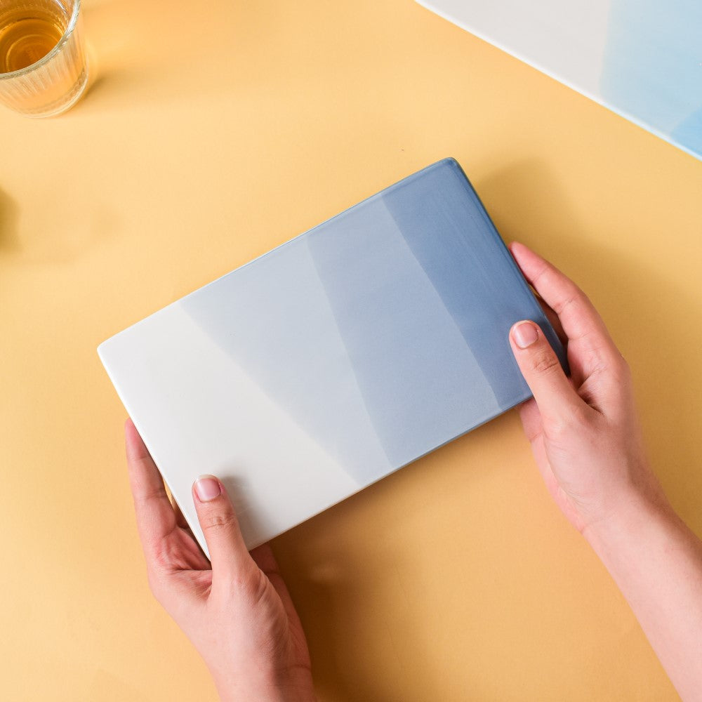 Ombre Tray Grey Nestasia
