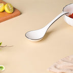 Classic Serving Spoon Nestasia