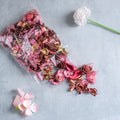 Pink Potpourri Nestasia