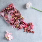 Pink Potpourri Nestasia