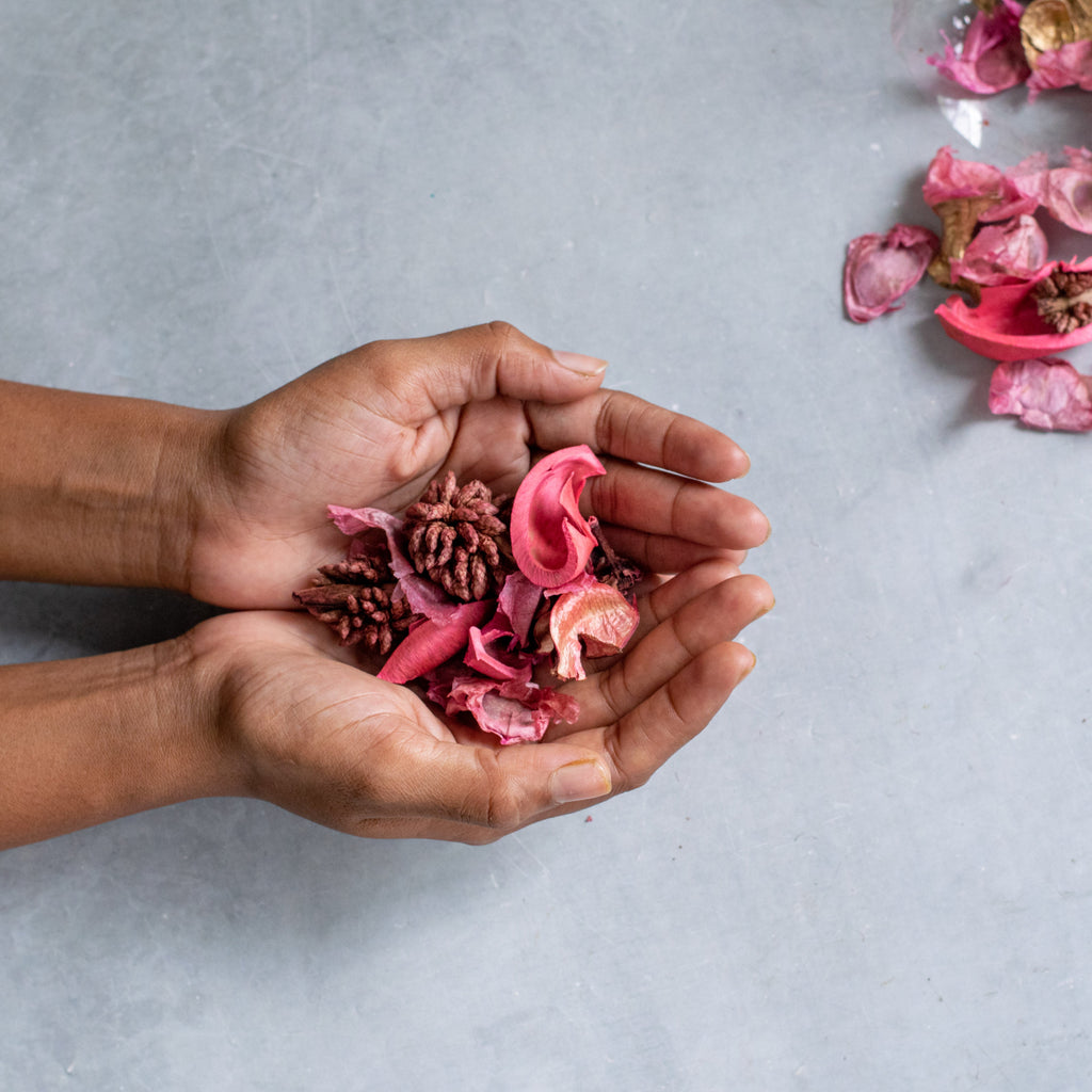Pink Potpourri Nestasia