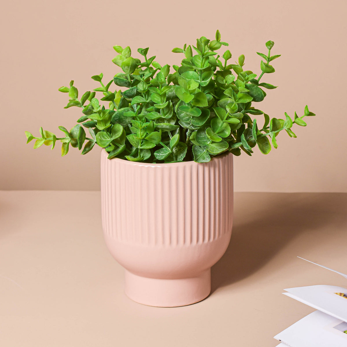 Dusky Pink Glazed Pot Nestasia