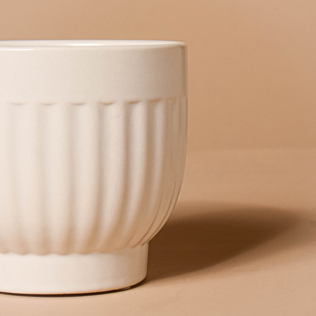 White Ribbed Vase Nestasia