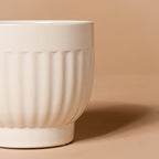 White Ribbed Vase Nestasia