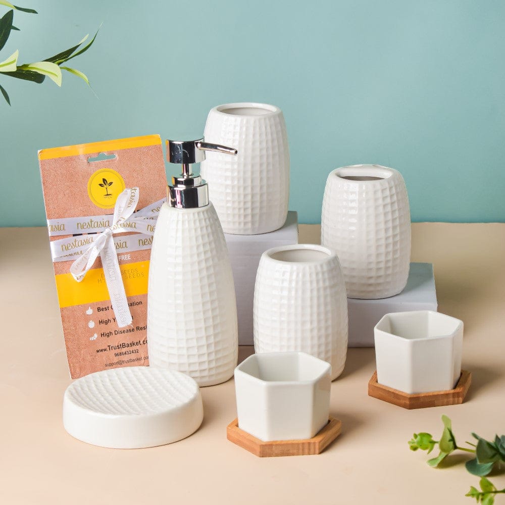 Bath Accessories, Planter And Seeds Gift Hamper Set Of 5 Nestasia