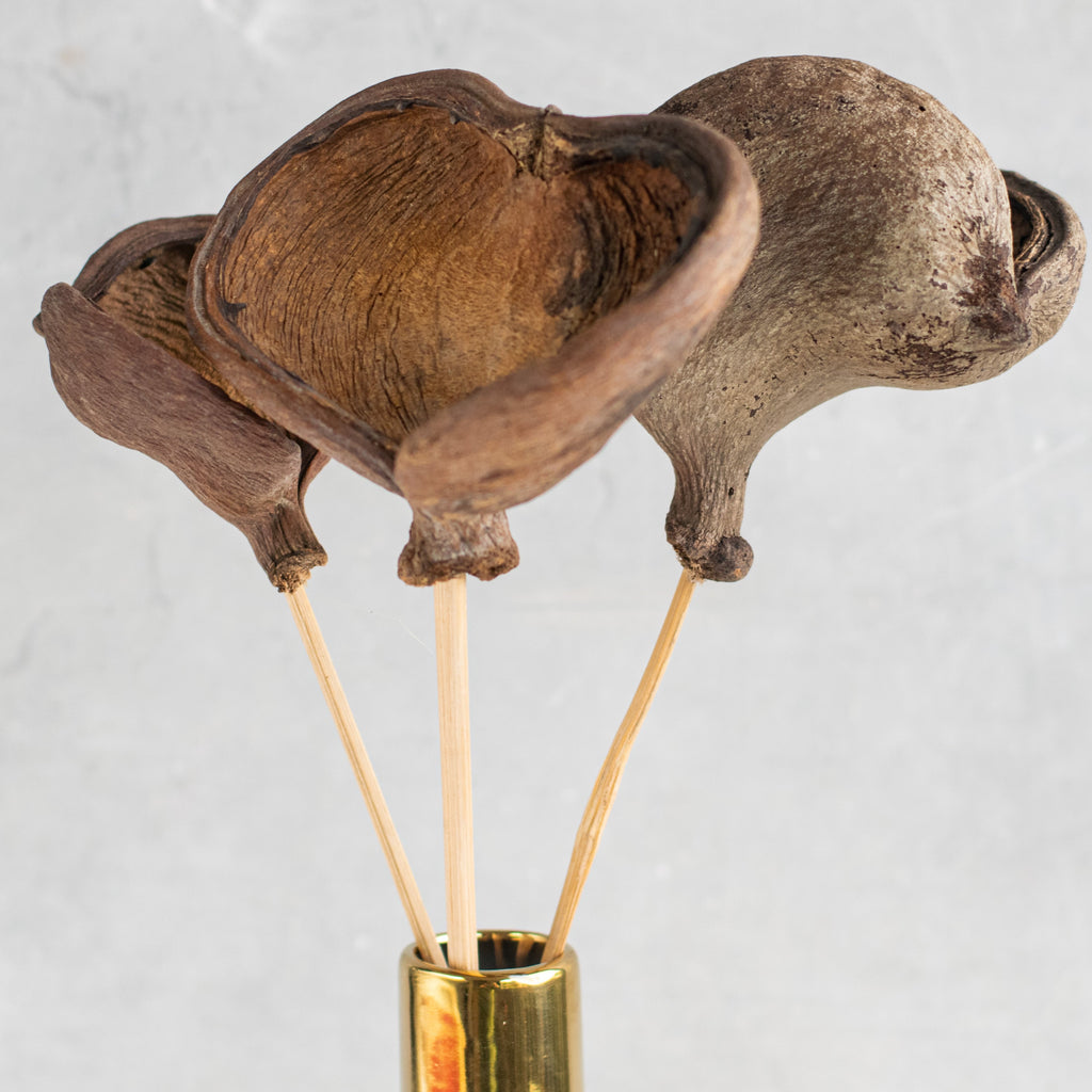 Vase Sticks Nestasia