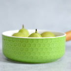 Light Green Bowl with Handle Nestasia
