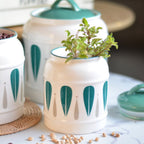Airtight Jars Green Nestasia