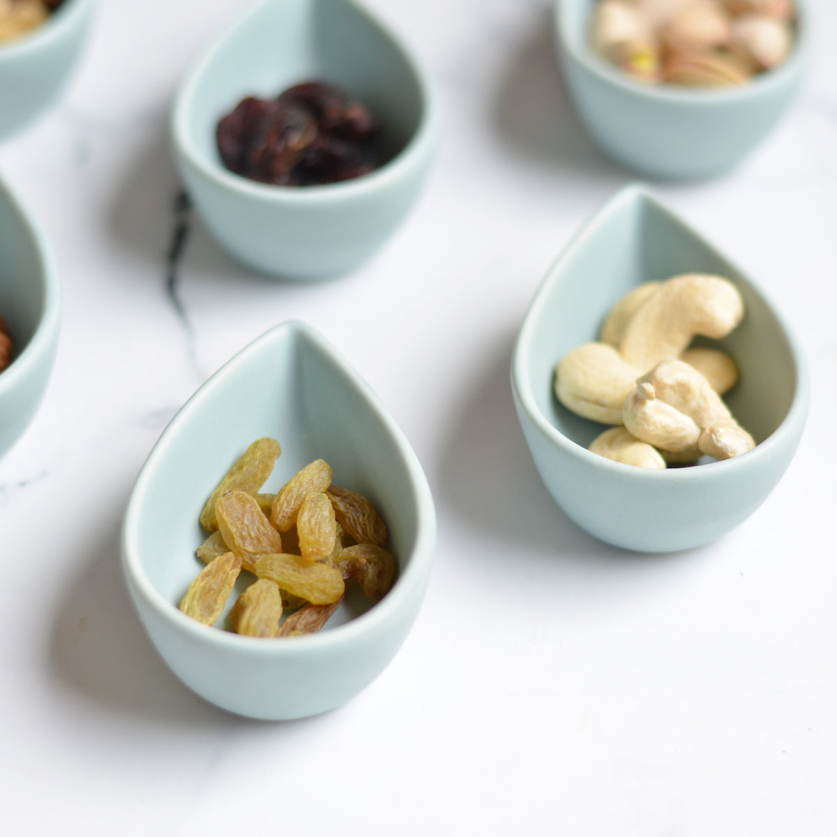 Small Dish Nestasia