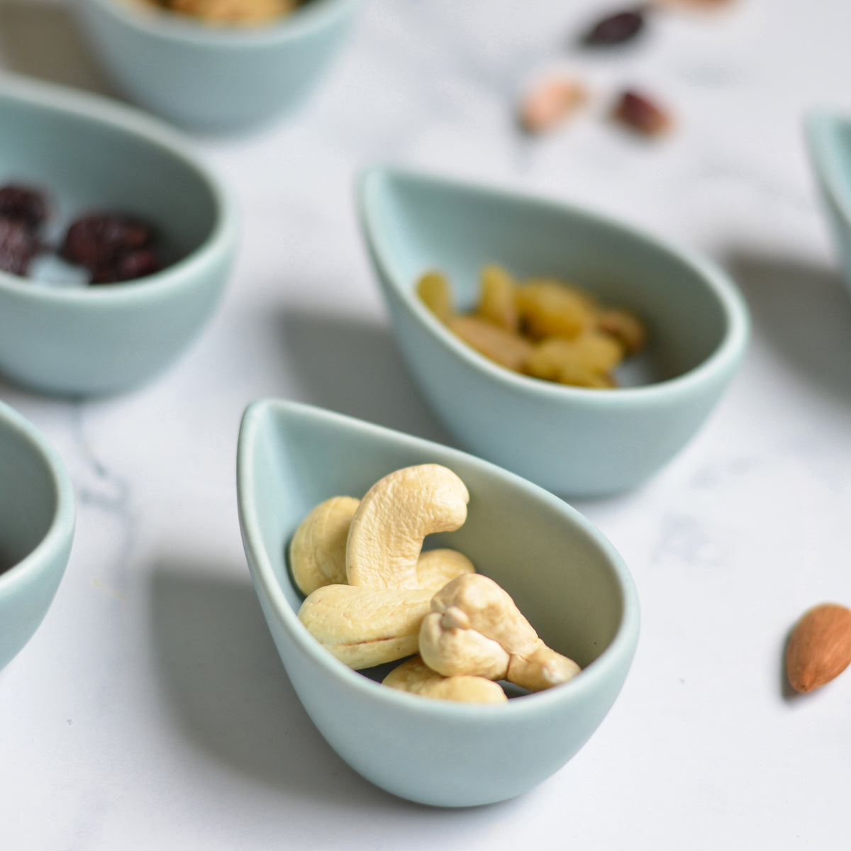 Small Dish Nestasia