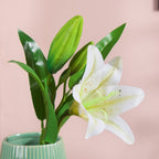 Artificial Lily Stem White Set Of 2 Nestasia