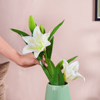 Artificial Lily Stem White Set Of 2 Nestasia