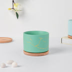 Maple Green Ceramic Planter With Coaster