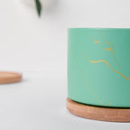 Maple Green Ceramic Planter With Coaster