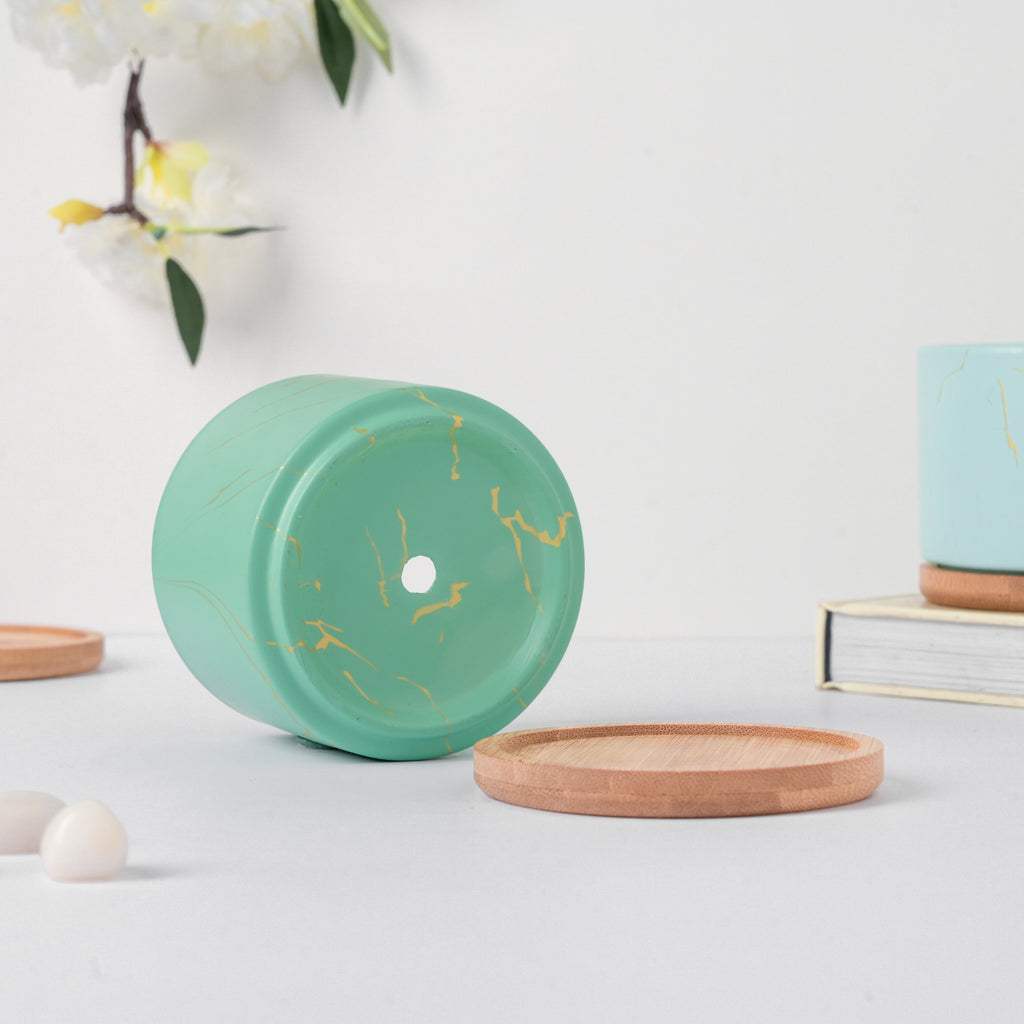 Maple Green Ceramic Planter With Coaster