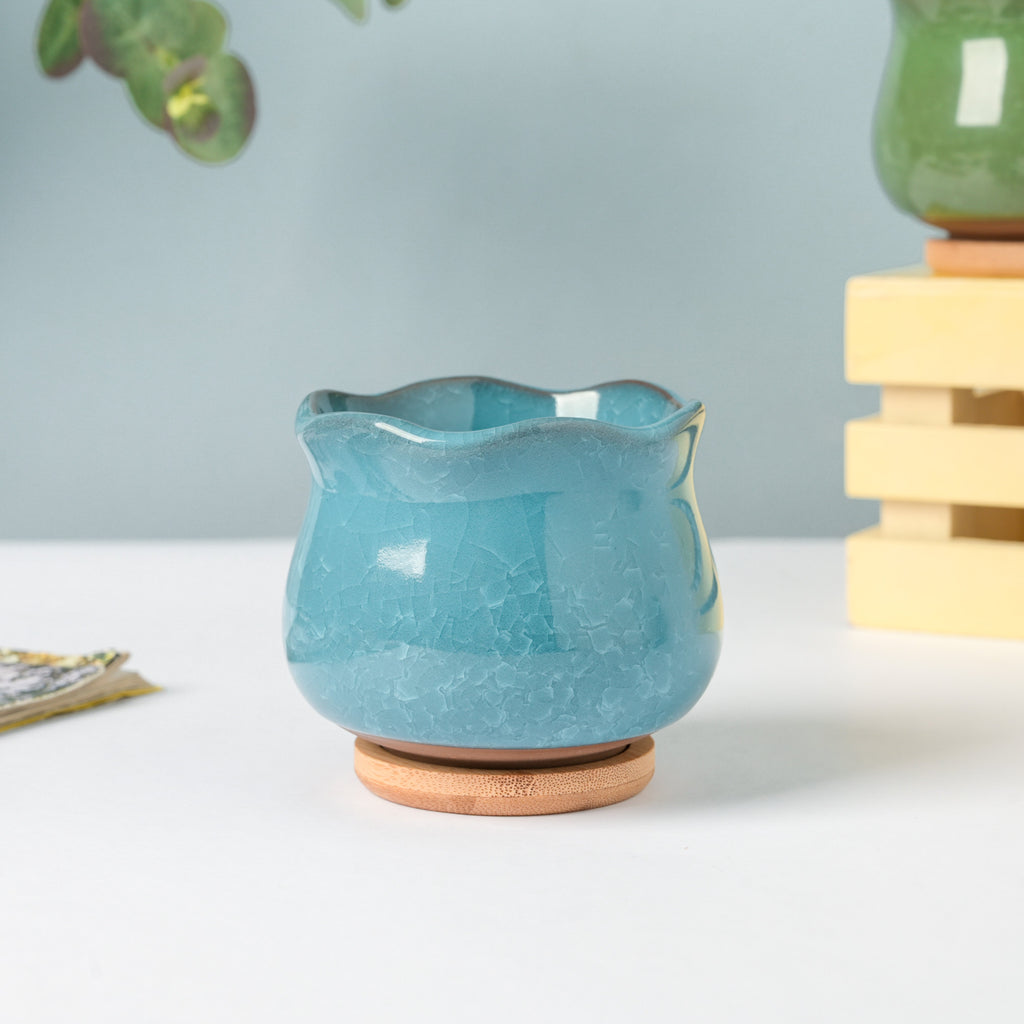 Botanica Blue Ceramic Planter With Coaster Nestasia