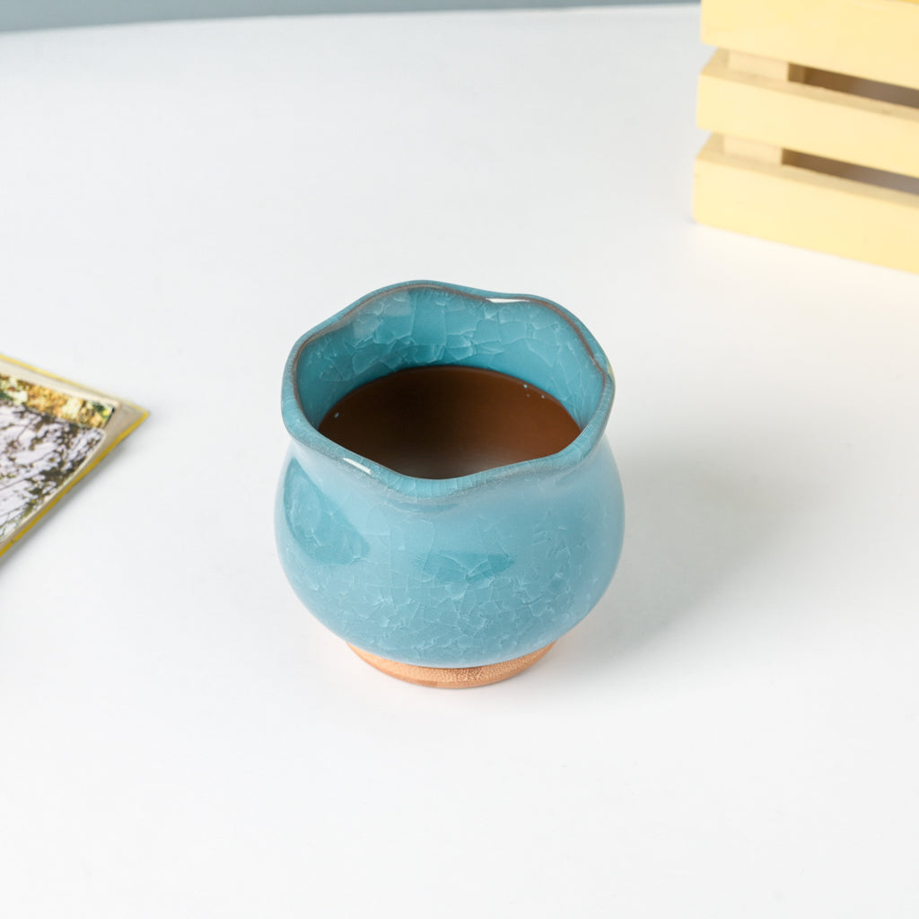 Botanica Blue Ceramic Planter With Coaster Nestasia