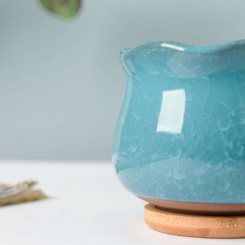 Botanica Blue Ceramic Planter With Coaster Nestasia
