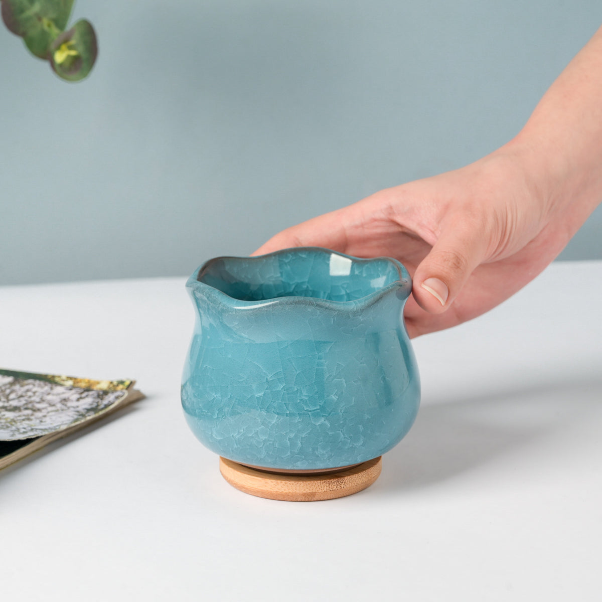 Botanica Blue Ceramic Planter With Coaster Nestasia