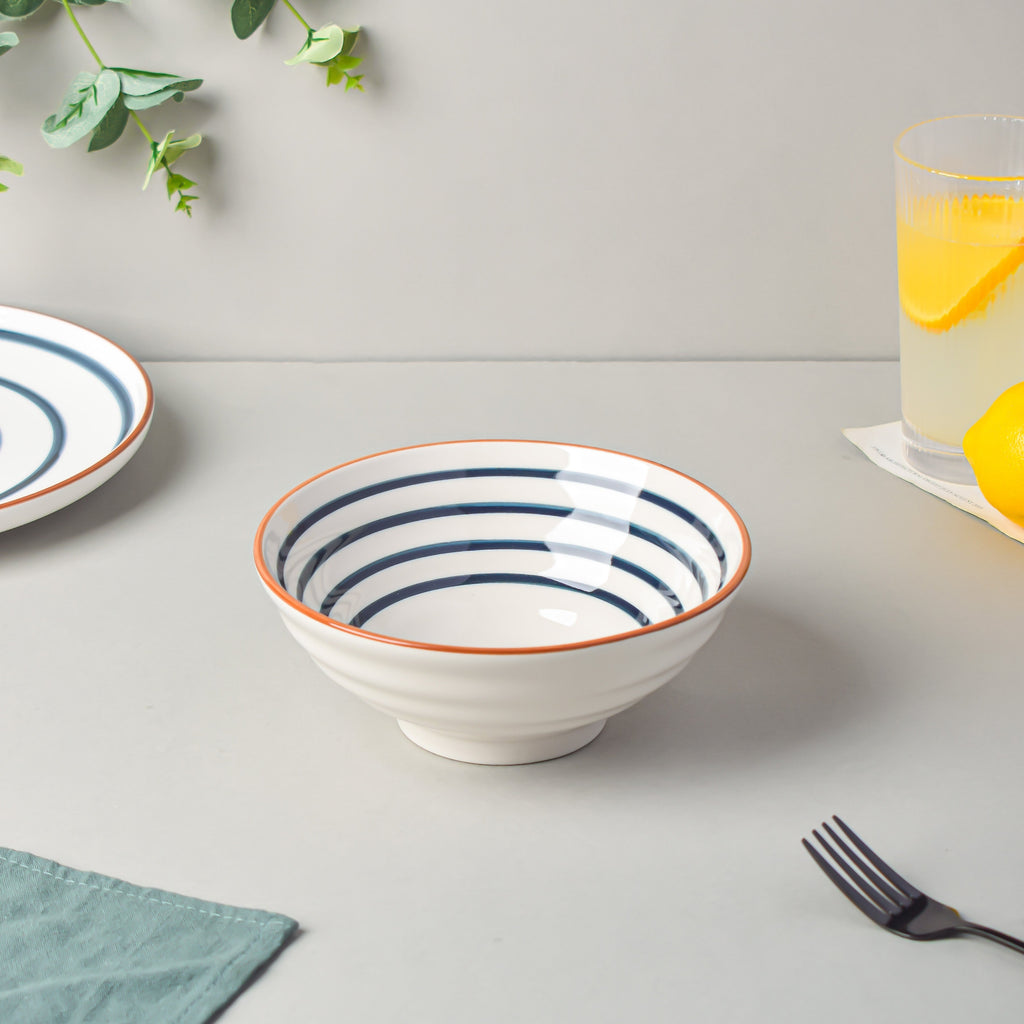 Blue Spiral 22 Piece Dinner Set For 6