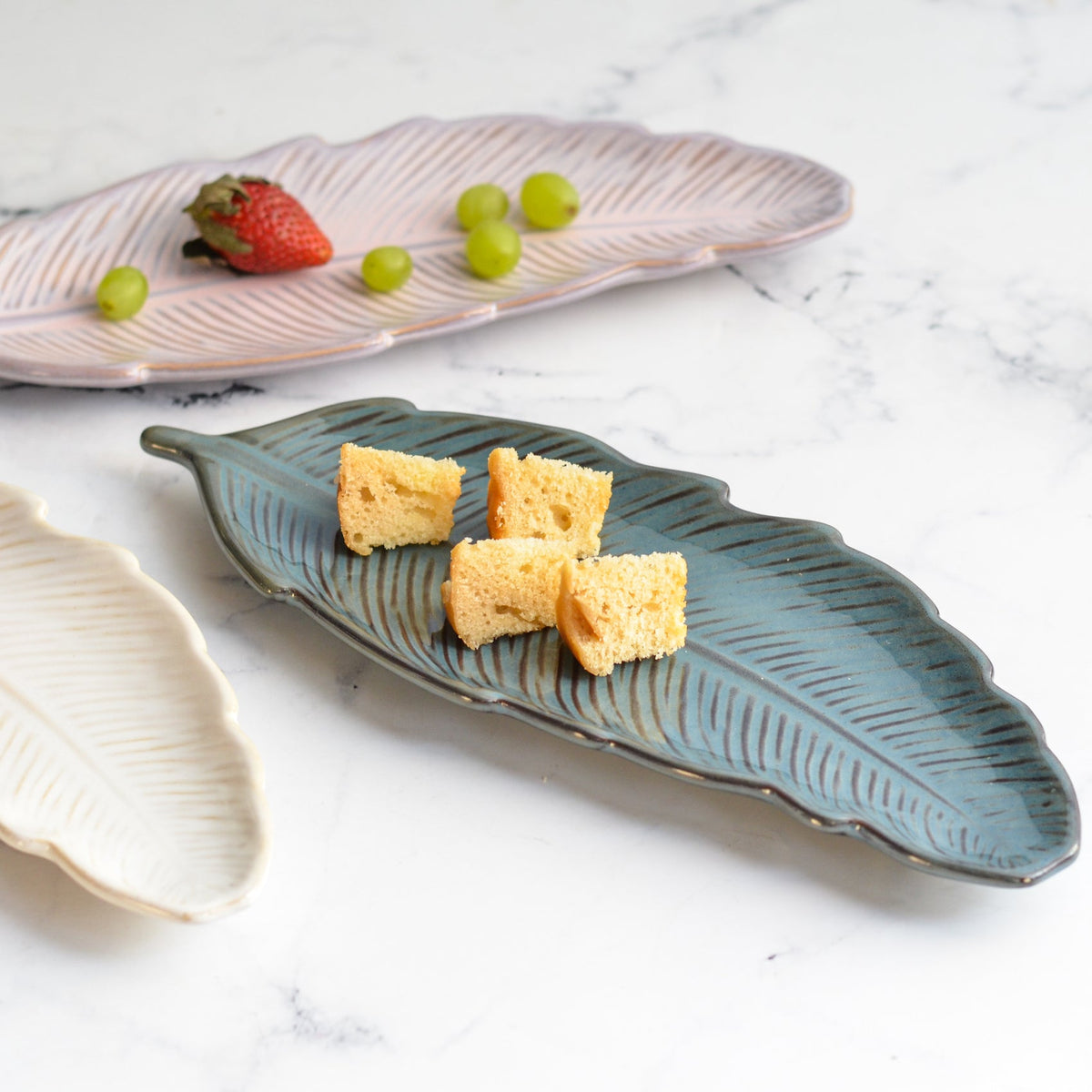 Long Leaf Plate Nestasia