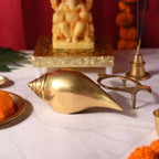 Brass Conch (5 Inch) Vedansh Craft