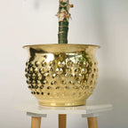 Brass Hammered Bucket Planter Pot Vedansh Craft